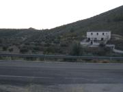 Terreno, Elche de la Sierra