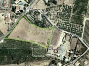 Terreno, Elche / Elx