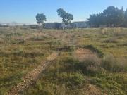 Terreno, Elche / Elx