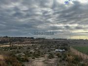 Terreno, Elche / Elx