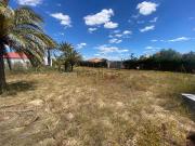 Terreno, Elche / Elx