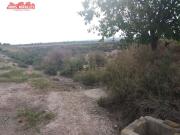 Terreno, Elche / Elx