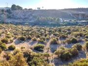Terreno, El Cortijuelo, Málaga