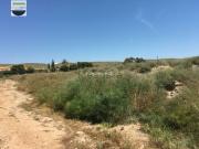 Terreno, Elche / Elx