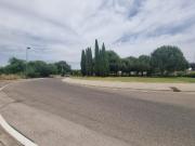 Terreno, Elche / Elx