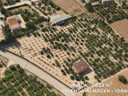 Terreno, Elche / Elx