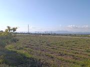 Terreno, Elche / Elx