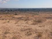 Terreno, Elche / Elx