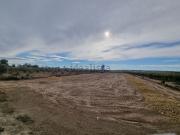 Terreno, Elche / Elx