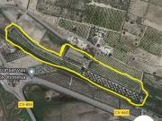 Terreno, Elche / Elx