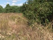 Terreno, Elche / Elx