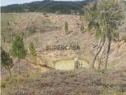 Terreno em Abela