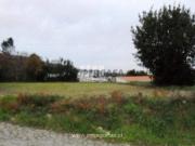 Urbanizável em Afife