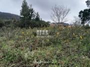 Terreno em Afife