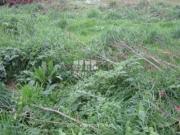 Terreno em Aguçadoura e Navais