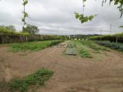 Terreno em Águas Santas