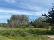 Terreno em Albufeira e Olhos de Água