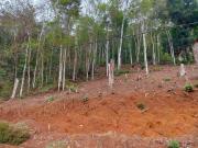 Terreno em Albuquerque, Teresópolis/RJ de 1599m² à venda...