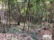 Terreno em Albuquerque, Teresópolis/RJ de 5021m² à venda...