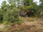 Terreno em Alcaravela