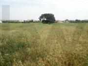 Terreno com 8160 m2 com viabilidade de construção, no...