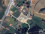 Terreno em Alcoentre