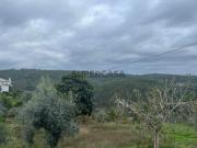 Terreno em Carreira Mato, Aldeia do mato