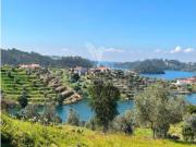 Terreno em Aldeia do Mato e Souto