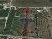 Terreno em Algoz e Tunes