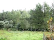 Terreno em Alhandra, São João dos Montes e Calhandriz