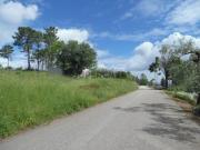 Terreno em Almalaguês