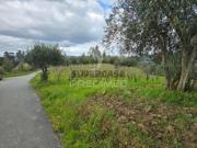 Terreno em Almalaguês