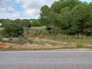 Terreno em Almancil