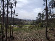 Terreno em Almargem do Bispo, Pêro Pinheiro e Montelavar