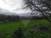 Terreno em Almargem do Bispo, Pêro Pinheiro e Montelavar