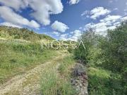 Terreno em São João das Lampas e Terrugem