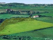 Terreno em Almargem do Bispo, Pêro Pinheiro e Montelavar