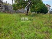 Terreno em Alpendorada, Várzea e Torrão