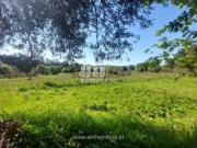 Terreno em Alvarães