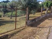 Terreno em Alvega e Concavada