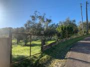 Terreno em Alvega e Concavada