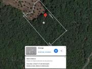 Terreno em Alvorge de 4550,00 m²