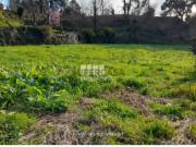 Terreno em Amarante São Gonçalo, Madalena, Cepelos e Gatão