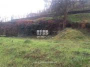 Terreno em Amarante São Gonçalo, Madalena, Cepelos e Gatão