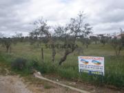 Terreno em Amieira e Alqueva