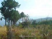 Terreno em Ancede e Ribadouro