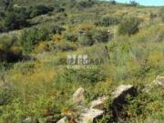 Terreno em Ancede e Ribadouro