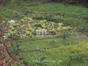 Terreno em Ancede e Ribadouro