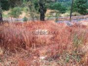 Terreno em Ancede e Ribadouro