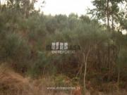 Terreno em Ancede e Ribadouro